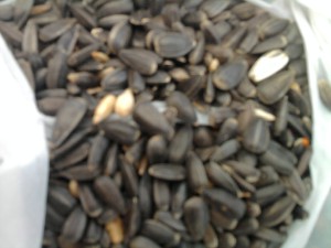 slunečnicová semínka